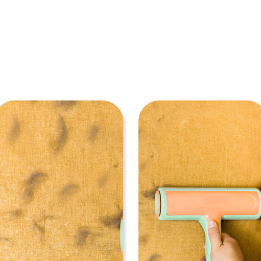 Two-way Roller Hair Removal