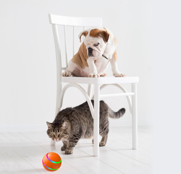 Pet New Cat Wicked Ball Toy I