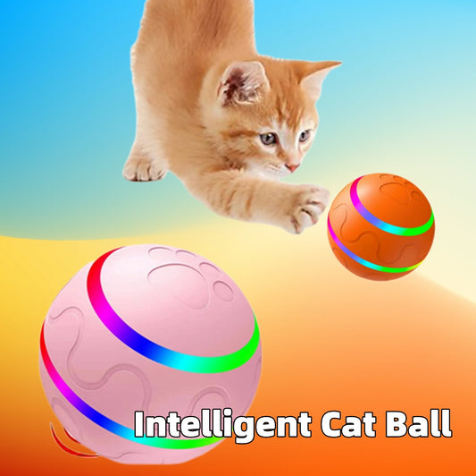 Pet New Cat Wicked Ball Toy I